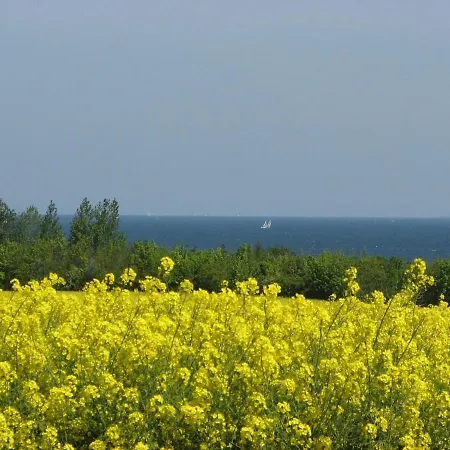 Flaschenpost 317 An Der Ostsee - Abc317 By Abcwismar Apartment